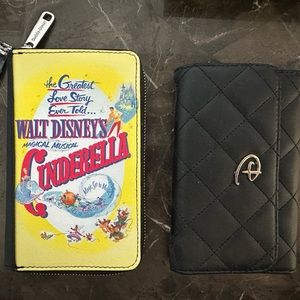 Wallet Disney